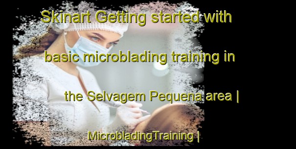 Skinart Getting started with basic microblading training in the Selvagem Pequena area | MicrobladingTraining | MicrobladingClasses | SkinartTraining-Portugal